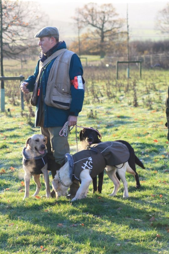 Mr. Halsted med sine deltagende hunde.